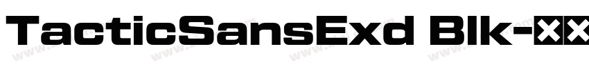 TacticSansExd Blk字体转换